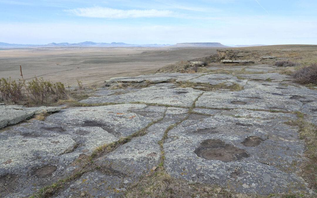 Buffalo Jump 8427