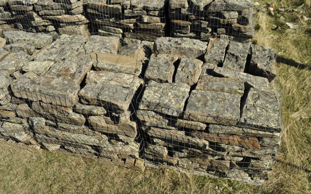 Buffalo Jump 3 to 6 1327
